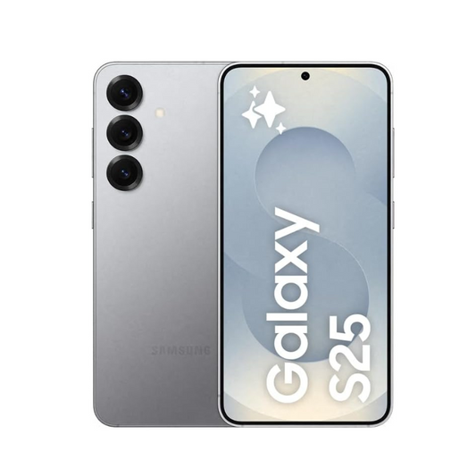 Samsung Galaxy S25 128 GB, Silver Shadow